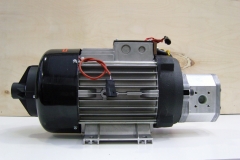 AC Motor pump