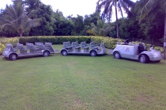 Caves of Barbados tram