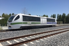 Turkey Train